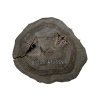 Plaster Orzecha Włoskiego 41x38x4cm