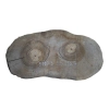 Plaster Orzecha Włoskiego 52x28x4cm