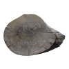 Plaster Orzecha Włoskiego 35x29x4cm