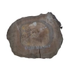 Plaster Orzecha Włoskiego 55x47x7cm