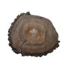 Plaster Orzecha Włoskiego 53x45x6cm