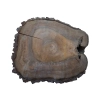 Plaster Orzecha Włoskiego 47x50x6cm