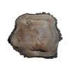 Plaster Orzecha Włoskiego 56x57x7cm