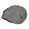 Plaster Dębowy 50x39x4cm Dąb