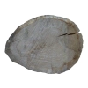 Plaster Dębowy 50x39x5cm Dąb