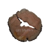 Plaster Gruszy 31x31x4cm