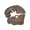 Plaster Gruszy 33x30x4cm
