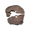 Plaster Gruszy 30x30x4cm
