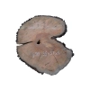 Plaster Gruszy 36x37x4cm