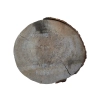 Plaster Kasztanowca 48x44x5cm