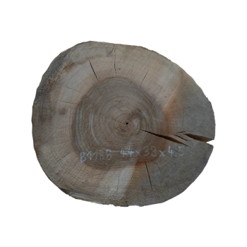 Plaster Orzecha Włoskiego 44x39x4,5cm