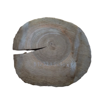 Plaster Orzecha Włoskiego 45x40x5cm