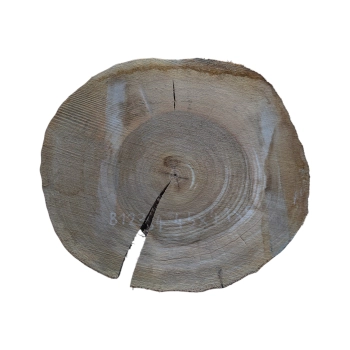 Plaster Orzecha Włoskiego 45x41x5cm