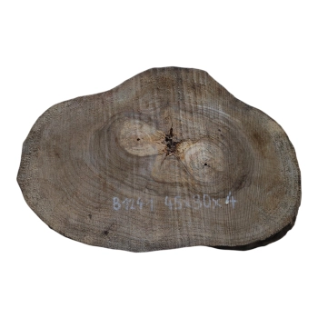 Plaster Orzecha Włoskiego 45x30x4cm