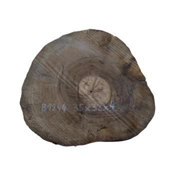 Plaster Orzecha Włoskiego 35x32x4cm