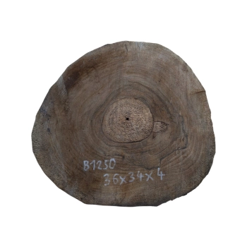Plaster Orzecha Włoskiego 36x34x4cm