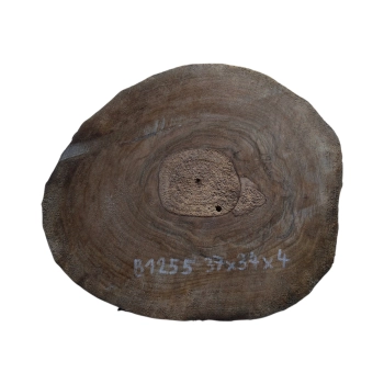 Plaster Orzecha Włoskiego 37x34x4cm