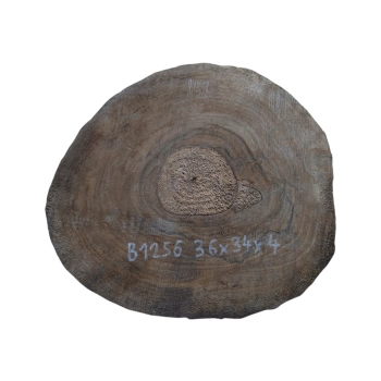 Plaster Orzecha Włoskiego 36x34x4cm
