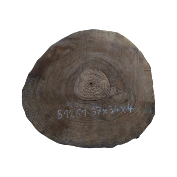 Plaster Orzecha Włoskiego 37x34x4cm
