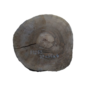 Plaster Orzecha Włoskiego 37x35x4cm