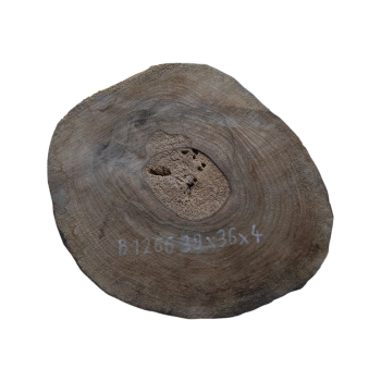 Plaster Orzecha Włoskiego 39x36x4cm