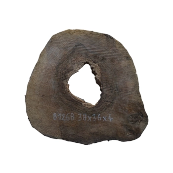 Plaster Orzecha Włoskiego 38x36x4cm
