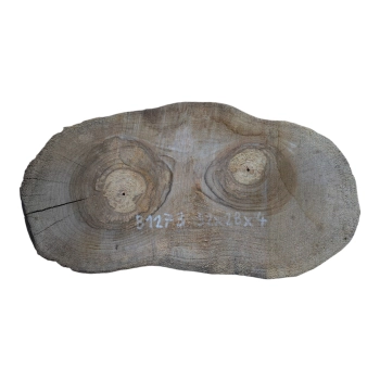 Plaster Orzecha Włoskiego 52x28x4cm