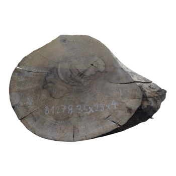 Plaster Orzecha Włoskiego 35x29x4cm