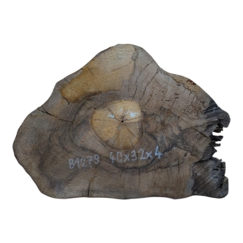 Plaster Orzecha Włoskiego 40x32x4cm