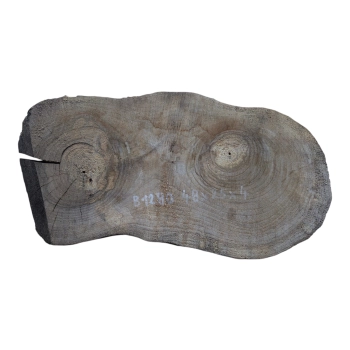 Plaster Orzecha Włoskiego 48x25x4cm