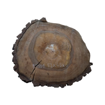 Plaster Orzecha Włoskiego 53x45x6cm