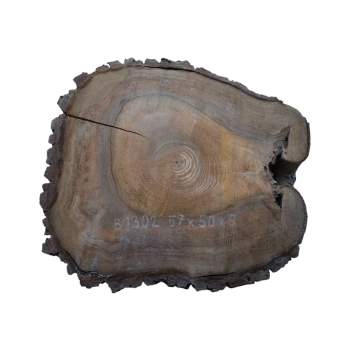 Plaster Orzecha Włoskiego 47x50x6cm