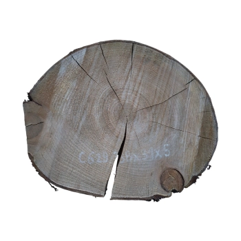Plaster Czereśni 38x31x5cm