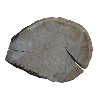 Plaster Dębowy 50x39x4cm Dąb