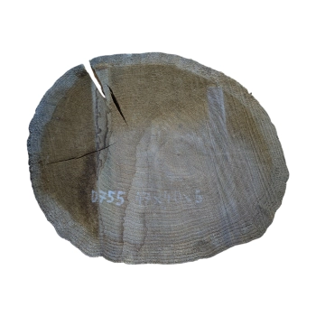 Plaster Dębowy 47x40x5cm Dąb