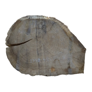 Plaster Dębowy 48x38x5cm Dąb