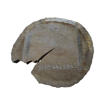 Plaster Dębowy 44x38x5cm Dąb