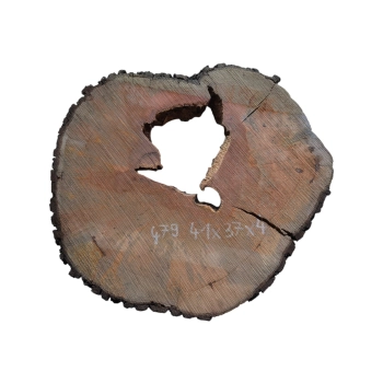 Plaster Gruszy 41x37x4cm