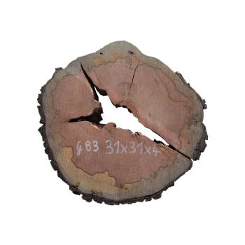 Plaster Gruszy 31x31x4cm