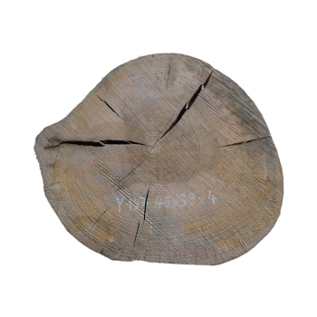 Plaster Jesionowy 45x39x4cm