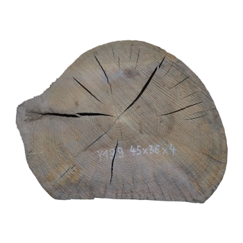Plaster Jesionowy 45x36x4cm