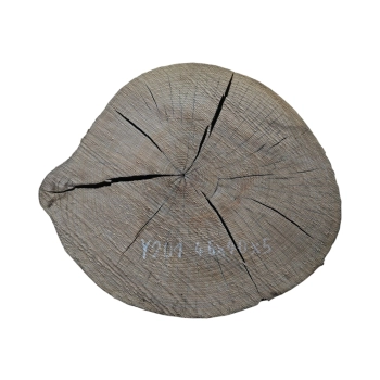 Plaster Jesionowy 46x40x5cm