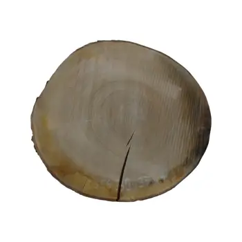 Plaster Czereśni 39x37x4cm