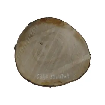 Plaster Czereśni 39x37x4cm