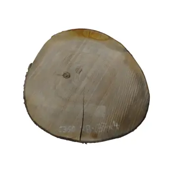 Plaster Czereśni 38x37x4cm