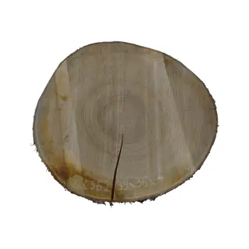 Plaster Czereśni 39x36x4cm