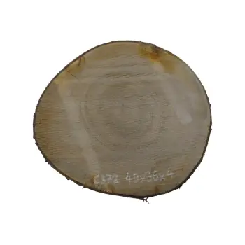 Plaster Czereśni 40x36x4cm