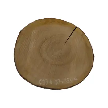 Plaster Czereśni 37x35x4cm