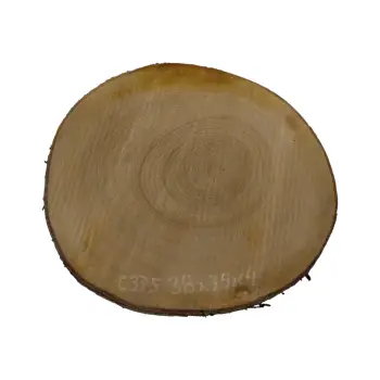 Plaster Czereśni 38x35x4cm