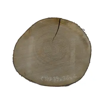 Plaster Czereśni 39x36x4cm
